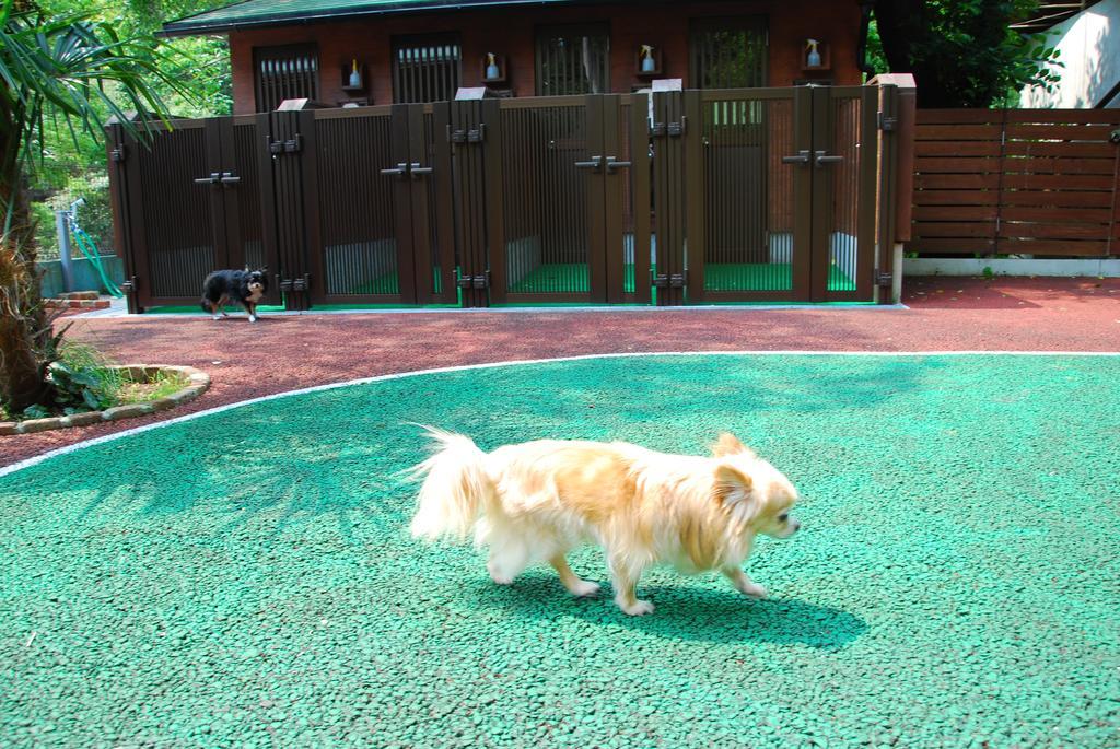 Okumizuma Onsen Hotel Kaizuka Luaran gambar